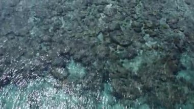 Halmahera Kuzey Maluku Endonezya 'daki Tropikal Ada Kristal Berrak Beyaz Kum Sahil Mercan Resifi