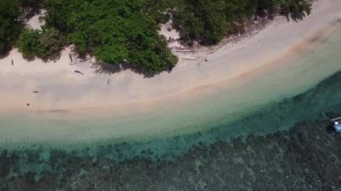 Halmahera Kuzey Maluku Endonezya 'daki Tropikal Ada Kristal Berrak Beyaz Kum Sahil Mercan Resifi