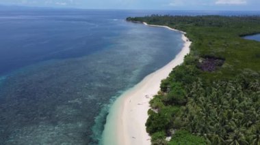 Halmahera Kuzey Maluku Endonezya 'daki Tropikal Ada Kristal Berrak Beyaz Kum Sahil Mercan Resifi