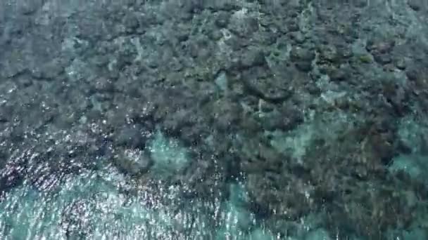 Tropical Island Crystal Clear White Sand Beach Coral Reef Halmahera — Αρχείο Βίντεο