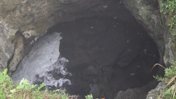 Milhões Morcegos Lalay Bat Cave Puncak Guha Beach Garut West — Vídeo de Stock