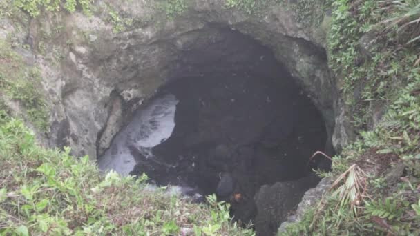 Milhões Morcegos Lalay Bat Cave Puncak Guha Beach Garut West — Vídeo de Stock