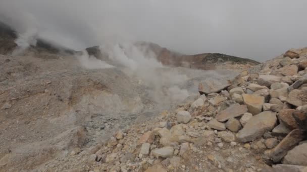 Mount Papandayan Volcano Garut West Java Indonesia Active Crater Lava — Stock Video