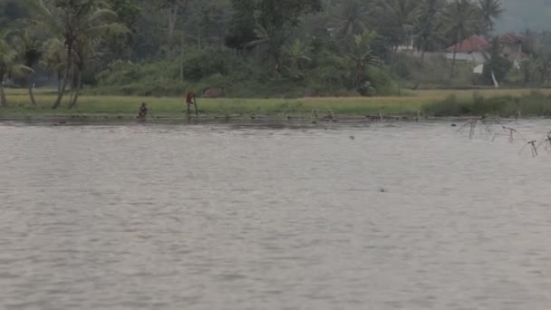 Garut Java Occidental Indonésie Cangkuang Temple Lake Bamboo Barges — Video