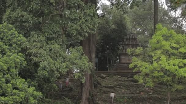 Garut Java Occidental Indonésie Cangkuang Temple Lake Bamboo Barges — Video