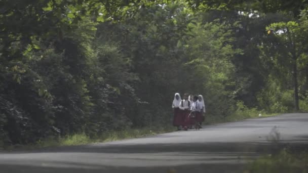 インドネシア西ジャワ州ガルート インドネシアの小学生赤白制服道路脇を歩く — ストック動画