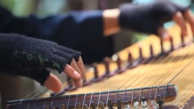 Bandung, Batı Java, Endonezya - Sokak Müzisyeni Kecapi Geleneksel Müzik Enstrümanı