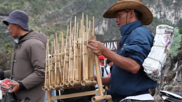 Бандунг Западная Ява Индонезия Индонезийский Человек Играющий Традиционном Музыкальном Инструменте — стоковое видео