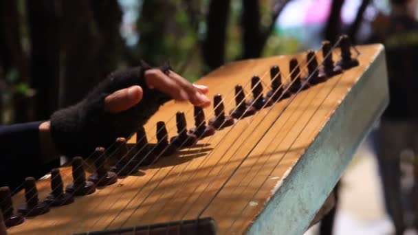 Bandung Západní Jáva Indonésie Pouliční Hudebník Hrající Kecapi Traditional Music — Stock video