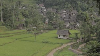 Kampung Naga, Endonezya - Geleneksel Evler, Güzel Doğal Arazi, gür Yeşil Pirinç Tarlaları