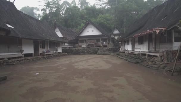 カンプン インドネシア 伝統的家屋 美しい自然景観 緑豊かな田んぼ — ストック動画