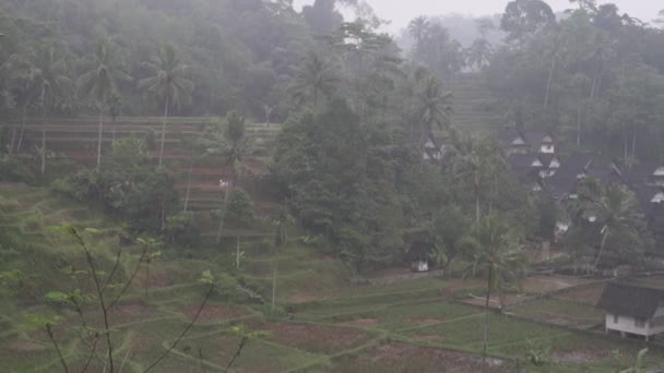 Kampung Naga Indonesia Casas Tradicionales Hermoso Paisaje Natural Exuberantes Campos — Vídeo de stock