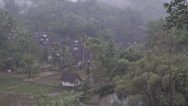 Kampung Naga Indonesia Casas Tradicionales Hermoso Paisaje Natural Exuberantes Campos — Vídeo de stock