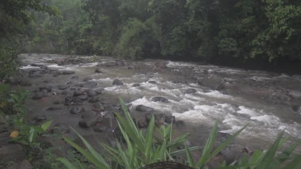 Civilt Flodflöde Kampung Naga Indonesien — Stockvideo