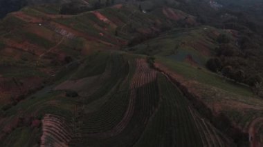 Hava Aracı Terasering Panyaweuyan Majalengka Batı Java - Tarım Teraslarına Bakan Tepe Görüş Alanı, Orman Kaplı Tepeler ve Ciremai Yanardağı