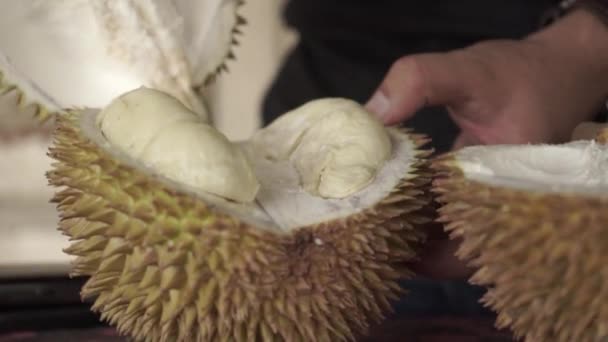 Durian Local Tropical Fruit Southeast Asia Raja Buah Buahan — Stok Video