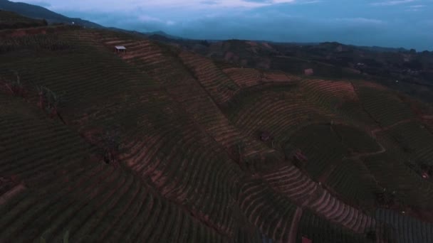 Aerial Drone Terasering Panyaweuyan Majalengka West Java Mirador Hilltop Con — Vídeo de stock