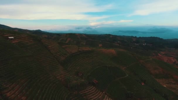 Flygdrönare Terasering Panyaweuyan Majalengka West Java Hilltop Utsiktspunkt Med Utsikt — Stockvideo