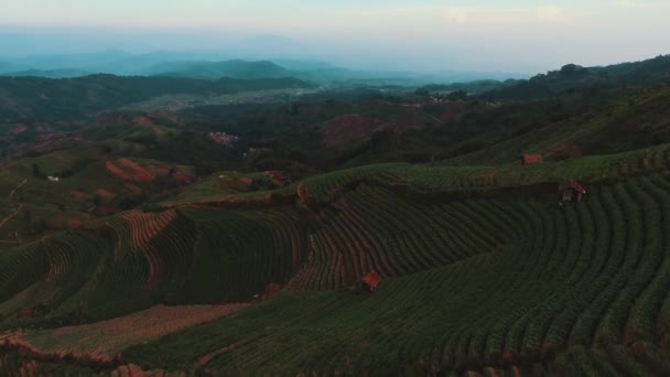 Aerial Drone Terasering Panyaweuyan Majalengka West Java Mirador Hilltop Con — Vídeo de stock