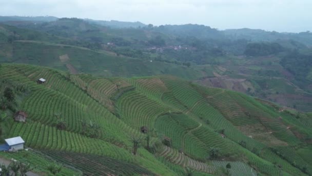 Terasering Panyaweuyan Majalengka West Java Hilltop Viewpoint Overlooking Agricultural Terraces — Stockvideo