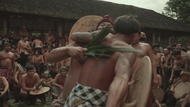 Bali Indonesia June 2022 Perang Pandan Mekare Kare Traditional War — Stockvideo