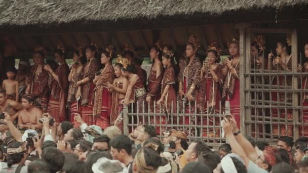 인도네시아 2022 Tenganan Village Women Beautiful Gringsing Cloth Watching Perang — 비디오