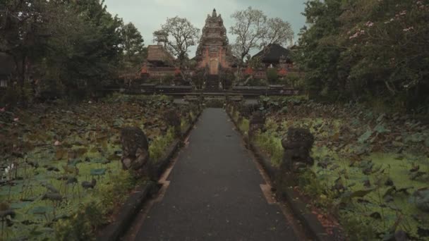 Saraswati Hinduistický Chrám Lotus Garden Ubud Bali Indonésie — Stock video