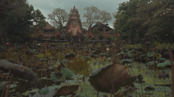 Saraswati Hindu Temple Lotus Garden Ubud印度尼西亚巴厘 — 图库视频影像