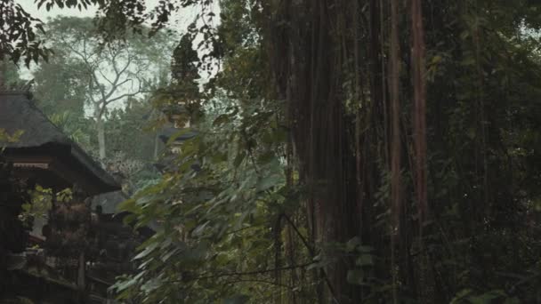 Pura Gunung Lebah Templo Hindú Campuhan Ubud Bali Indonesia — Vídeos de Stock