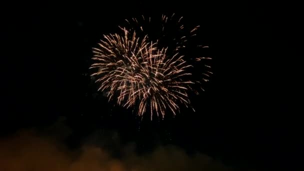 2022 Fogos Artifício Addison Kaboom Town Julho Dia Independência Dos — Vídeo de Stock