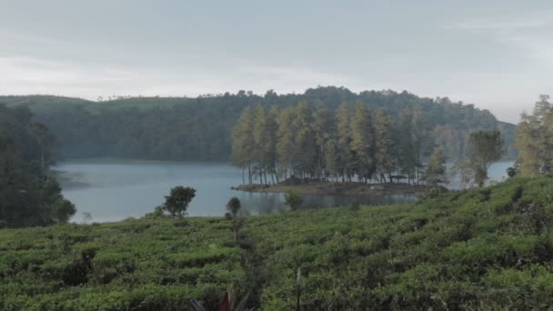 Mañana Pacífica Situ Patengan Patenggang Lake Ciwidey Bandung Java Occidental — Vídeos de Stock