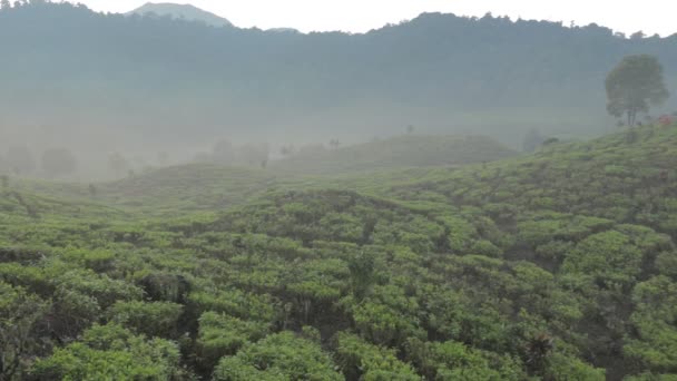 Ciwidey Bandung Daki Patengan Gölü Nde Huzurlu Sabah Batı Java — Stok video