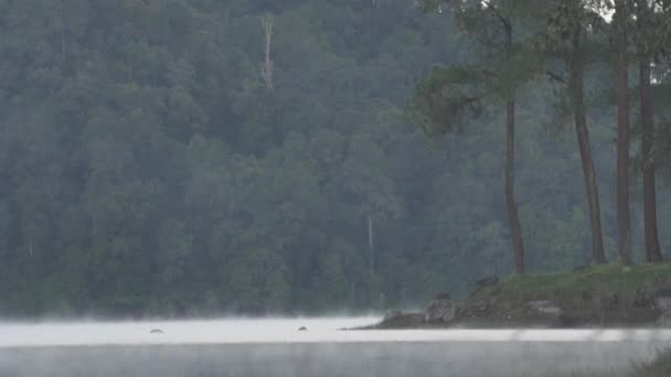 Rustige Ochtend Bij Situ Patengan Patenggang Lake Ciwidey Bandung West — Stockvideo