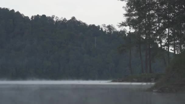 Peaceful Morning Situ Patengan Patenggang Lake Ciwidey Bandung West Java — ストック動画