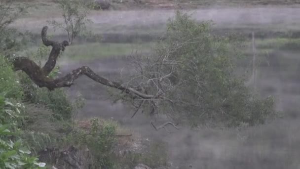 Rustige Ochtend Bij Situ Patengan Patenggang Lake Ciwidey Bandung West — Stockvideo