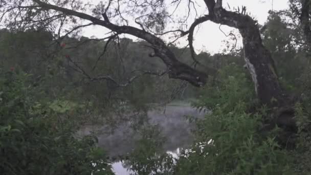 Peaceful Morning Situ Patengan Patenggang Lake Ciwidey Bandung West Java — Wideo stockowe