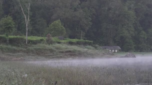 Rustige Ochtend Bij Situ Patengan Patenggang Lake Ciwidey Bandung West — Stockvideo