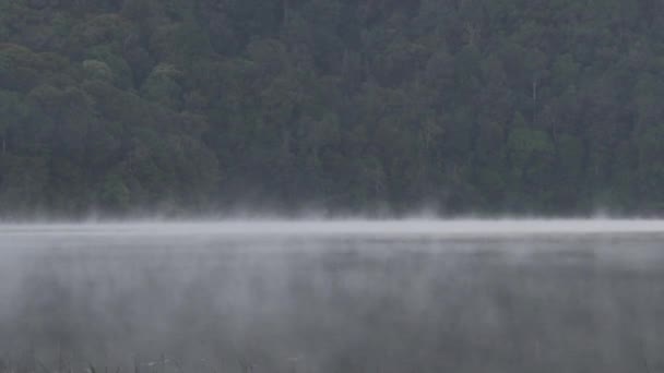 Rustige Ochtend Bij Situ Patengan Patenggang Lake Ciwidey Bandung West — Stockvideo