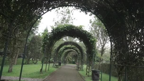 Tunnel Taman Bunga Nusantara Flowers Park Cianjur West Java Indonesia — Video