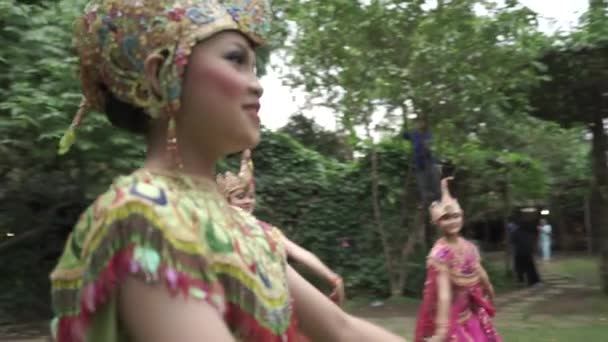 Bandung West Java Indonesia Circa 2014 Merak Peacock Traditional Folk — стоковое видео