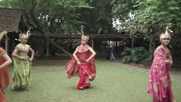 Bandung West Java Indonesia Circa 2014 Merak Peacock Traditional Folk — Stock video