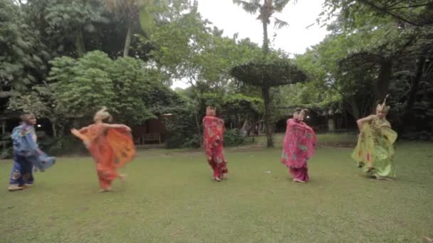 Bandung West Java Indonesia Circa 2014 Merak Peacock Traditional Folk — 비디오