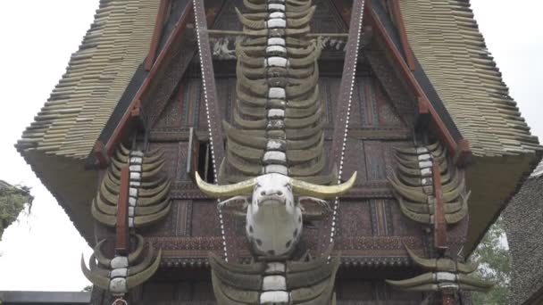 Tongkonan Traditional Ancestral House Toraja South Sulawesi Indonesia Buffalo Skulls — Stock video