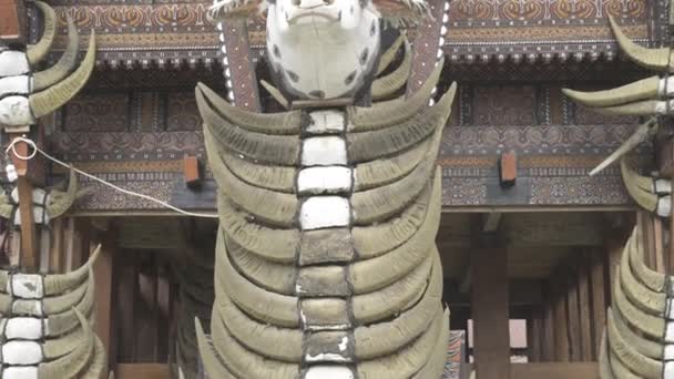 Tongkonan Traditional Ancestral House Toraja South Sulawesi Indonesia Buffalo Skulls — Wideo stockowe