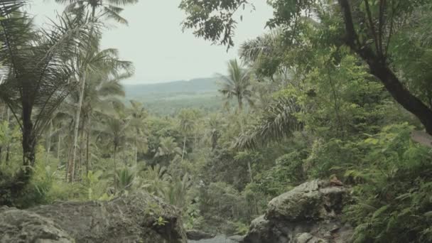Купание Бассейне Природного Леса Джакузи Водопада Джембленг Карангасем Бали Индонезия — стоковое видео
