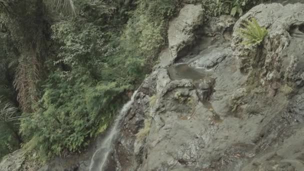 Natural Forest Rock Pool Jacuzzi Gembleng Waterfall Karangasem Bali Indonesia — Wideo stockowe