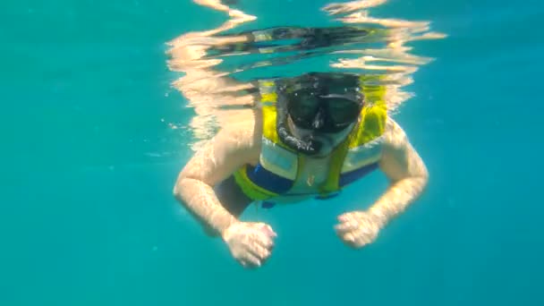 Beautiful Underwater Snorkeling Fishes Sea Coral Temple Jemeluk Bay Amed — Stok video