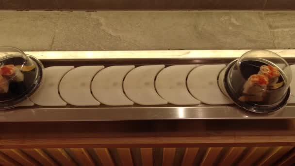 Sushi Rail Conveyor Belt Rotation Train Restaurant Japanese Food — Stok video
