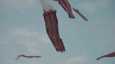 Balinese Traditional Kites JANGGAN (Red White Black Long Tail Bird Dragon) on Bali Kite Festival Summer Blue Sky Slow Motion