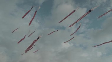 Balinese Traditional Kites JANGGAN (Red White Black Long Tail Bird Dragon) on Bali Kite Festival Summer Blue Sky Slow Motion